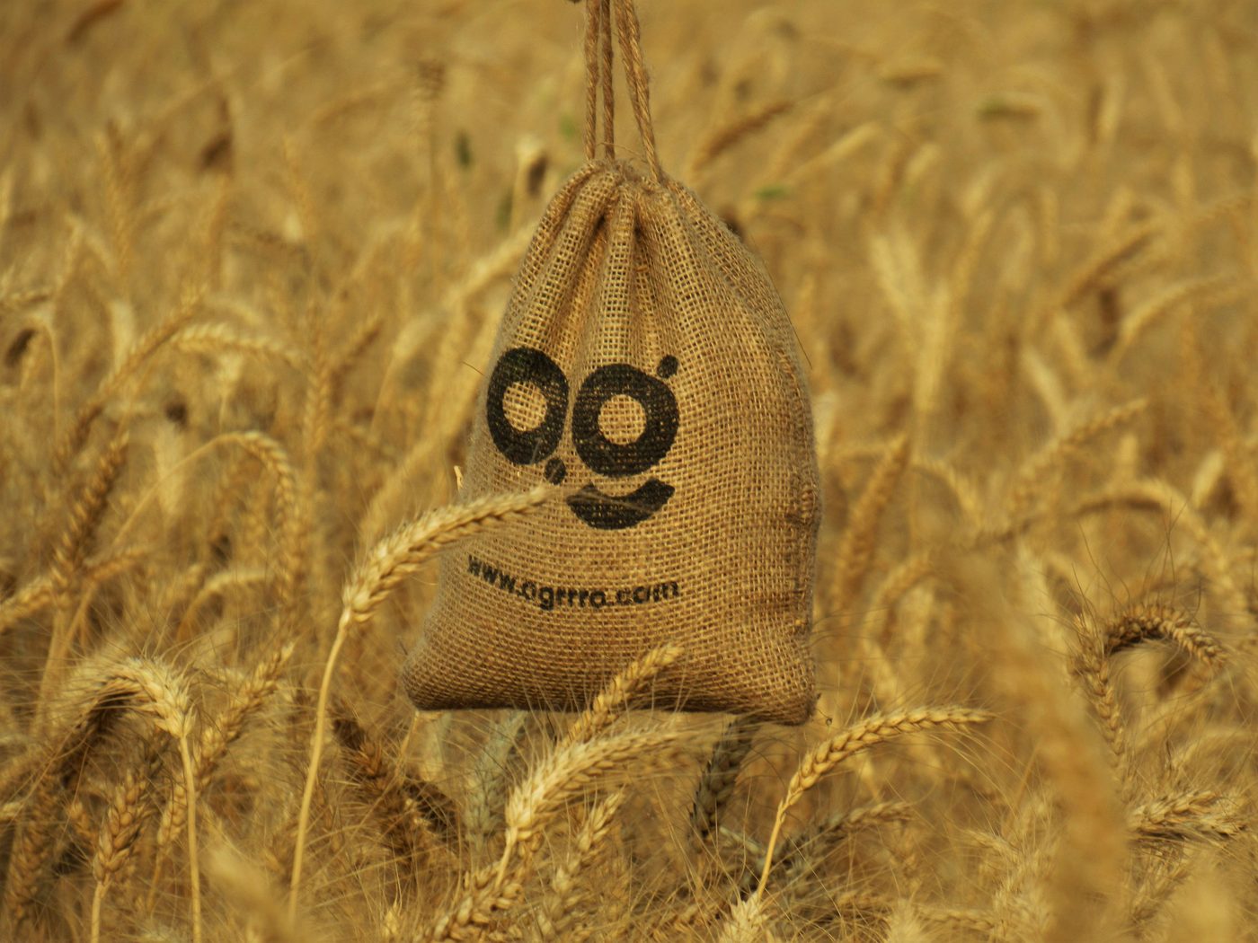 Jute bags